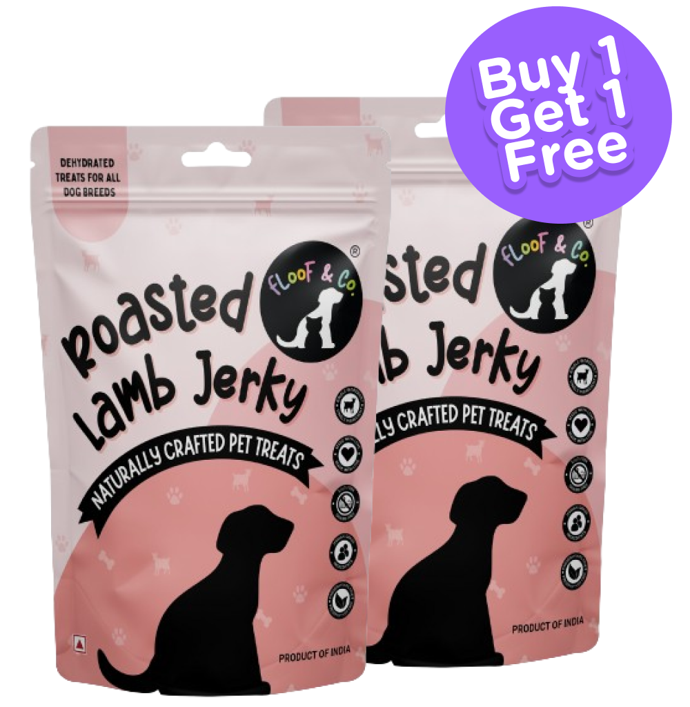 Floof & Co Slow Roasted Lamb Jerky Dog Treats (Buy 1 Get 1)
