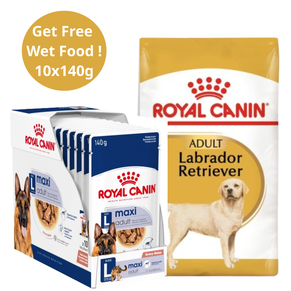 Royal Canin Labrador Retriever Adult Dog Dry Food (Get Free Wet Food)