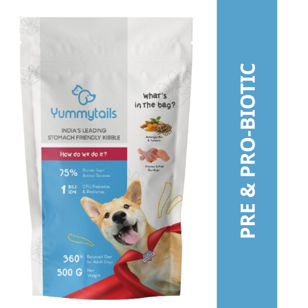 Yummytails Chicken and Fish Premium Adult Medium and Large Dog Dry Food
