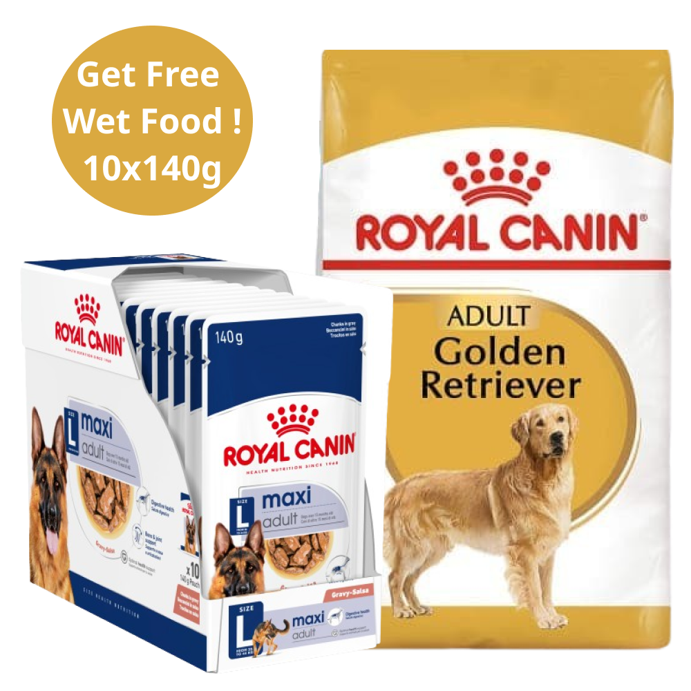 Royal Canin Golden Retriever Adult Dog Dry Food (Get Free Wet Food)