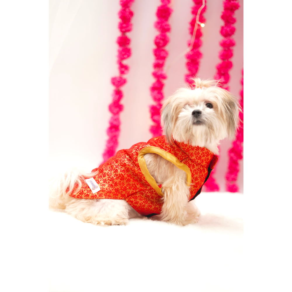 Furvanity Brocade Bandhgala for Dogs and Cats (Red)