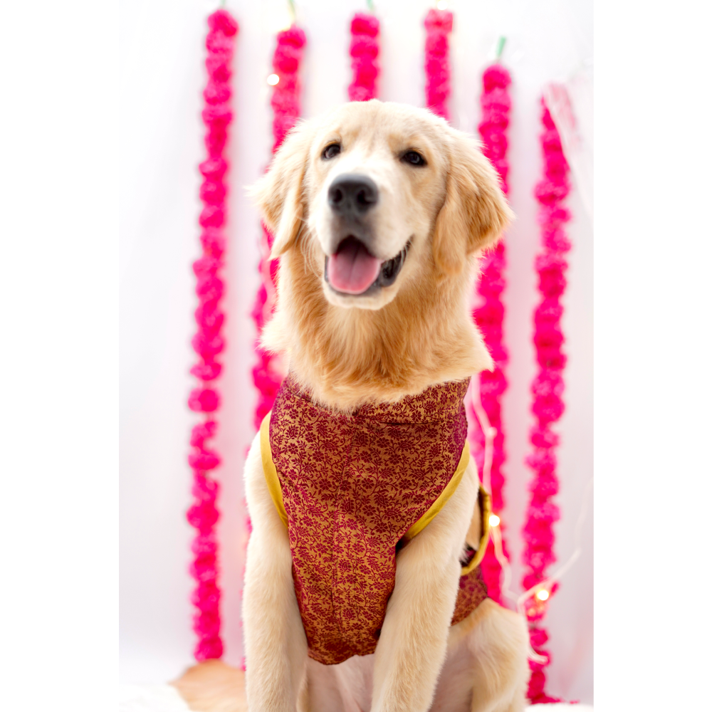 Furvanity Brocade Bandhgala for Dogs and Cats (Wine)
