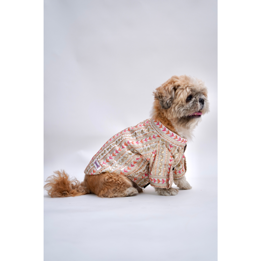 Furvanity Gota Patti Work Sherwani for Dogs and Cats (White)