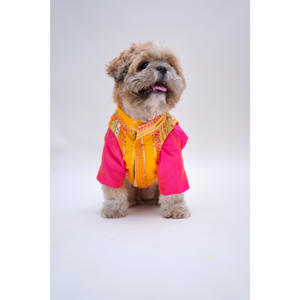 Furvanity Silk Kurta with Bandhgala for Dogs and Cats (Pink & Yellow)