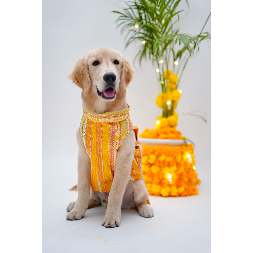 Furvanity Kurta with Bandhgala for Dogs and Cats (Yellow)