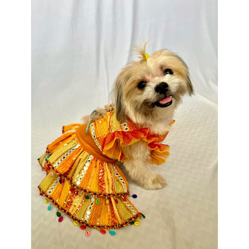 Furvanity Mirror Work Lehenga Choli for Dogs and Cats (Yellow)