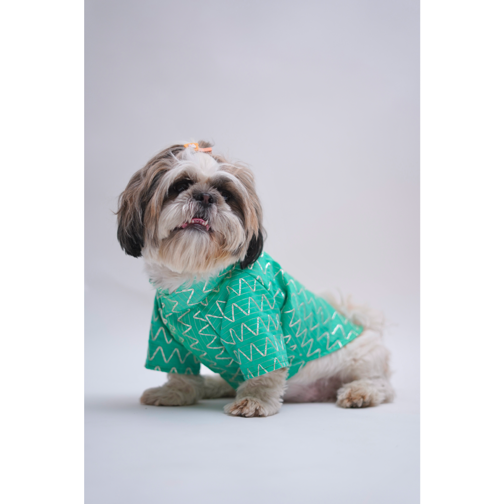 Furvanity Gota Kurta for Dogs and Cats (Sea Green)