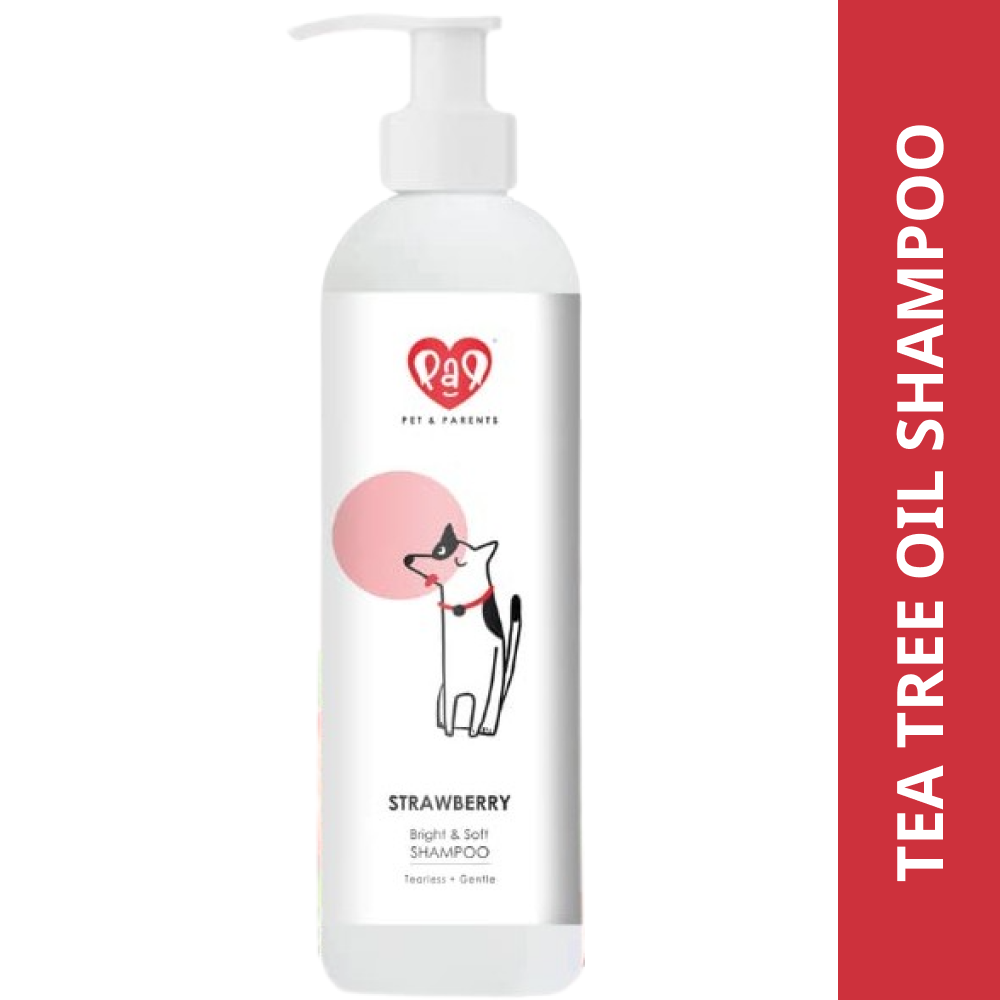 Pet And Parents Brightening Tearless Strawberry Shampoo for Dogs and Cats  (Limited Shelf Life)