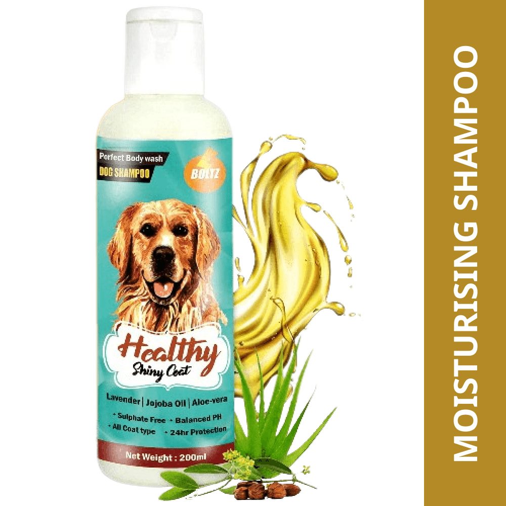 Boltz Shampoo for Dogs (Limited Shelf Life)