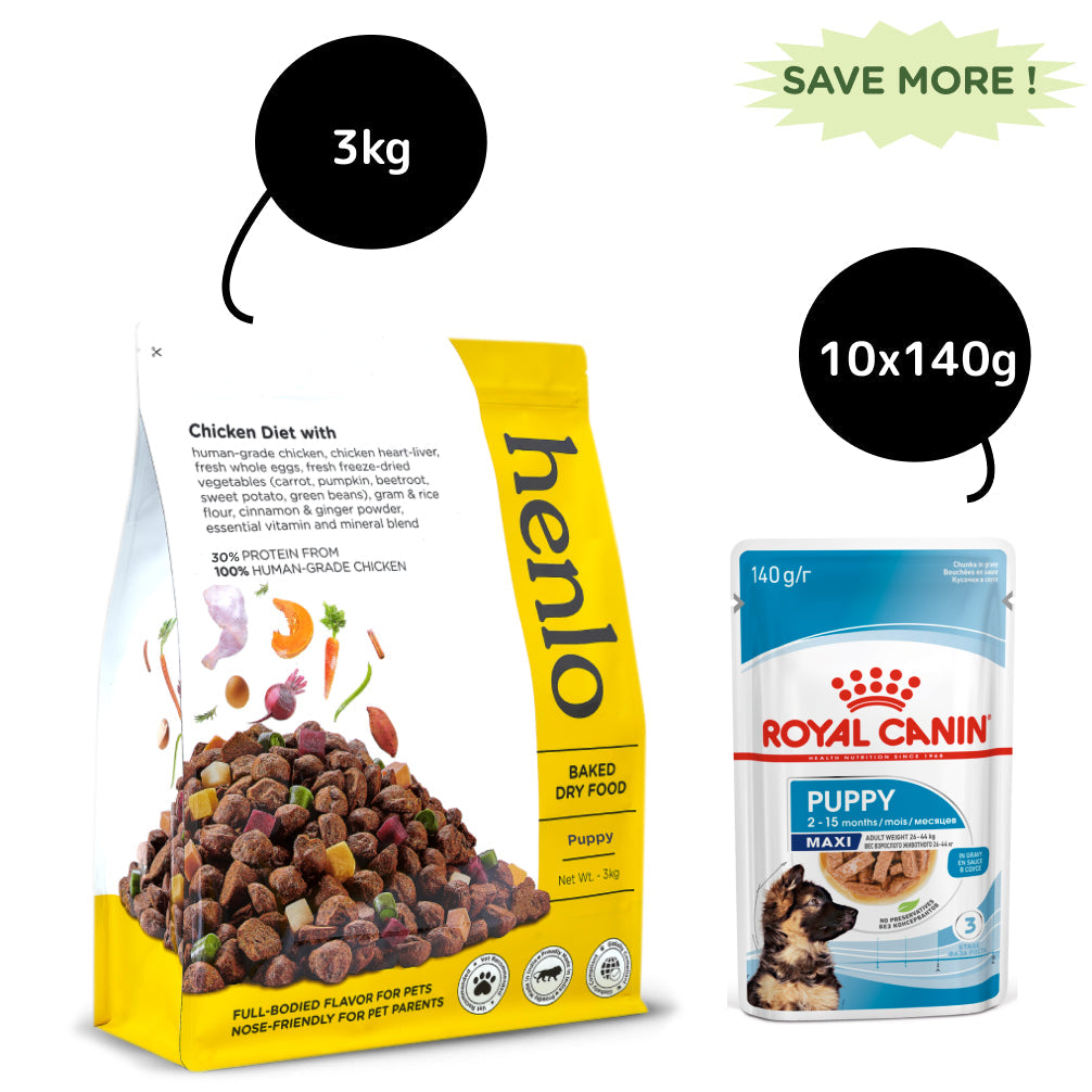 Henlo Baked Puppy Dry Food and Royal Canin Maxi Puppy Wet Food Combo
