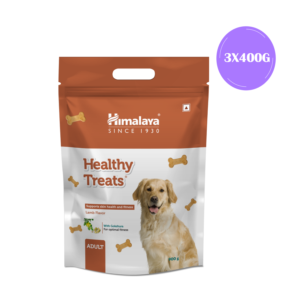 Himalaya Lamb Flavour Healthy Adult Dog Treats (400g)
