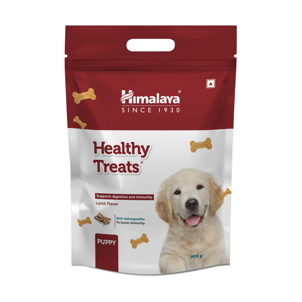 Himalaya Lamb Flavour Healthy Puppy Dog Treats (400g)