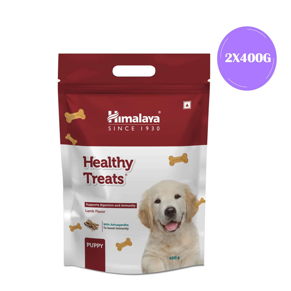 Himalaya Lamb Flavour Healthy Puppy Dog Treats (400g)