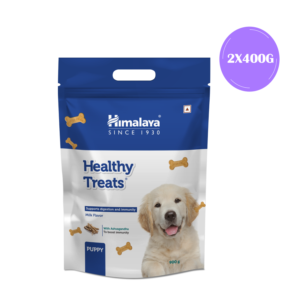 Himalaya Milk Flavour Healthy Puppy Dog Treats (400g)