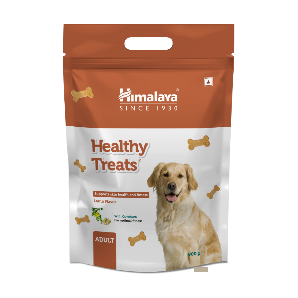 Himalaya Lamb Flavour Healthy Adult Dog Treats (400g)