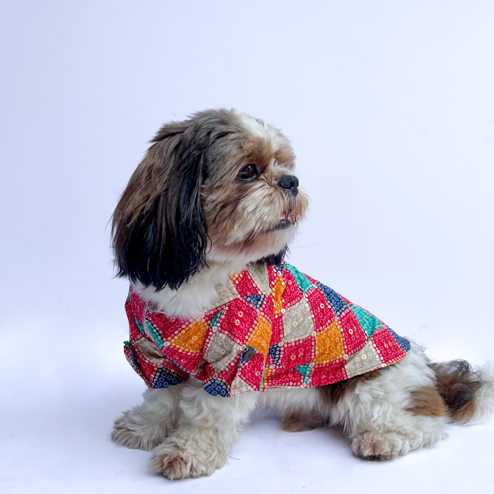 Pawgypets Bandhej Shirt for Dogs and Cats (Hued)