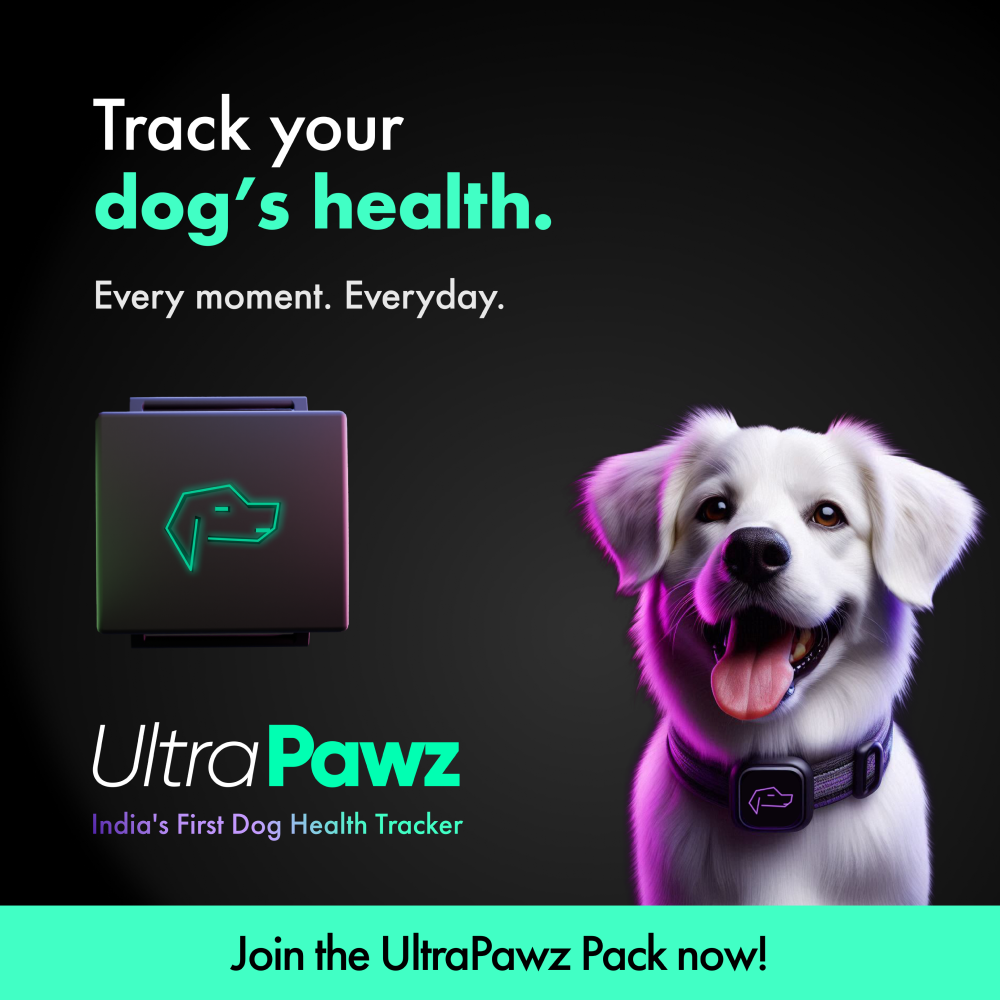 UltraPawz India&