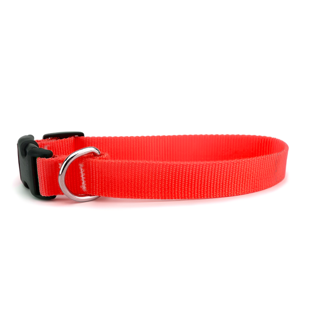 Adjustable Collar with Bell for Cats & Kittens (Red)(Pack of 1)