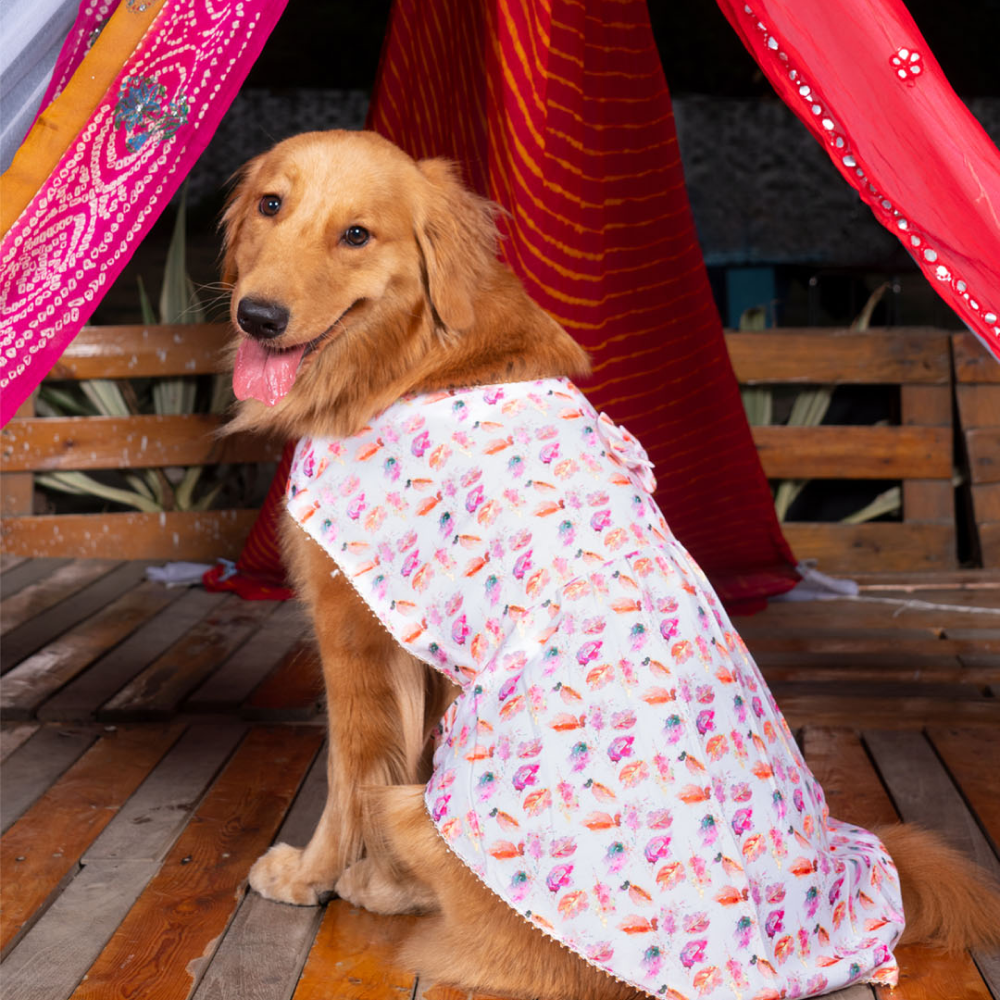 Vastramay Abstract Printed Cotton Blend Dress for Dogs