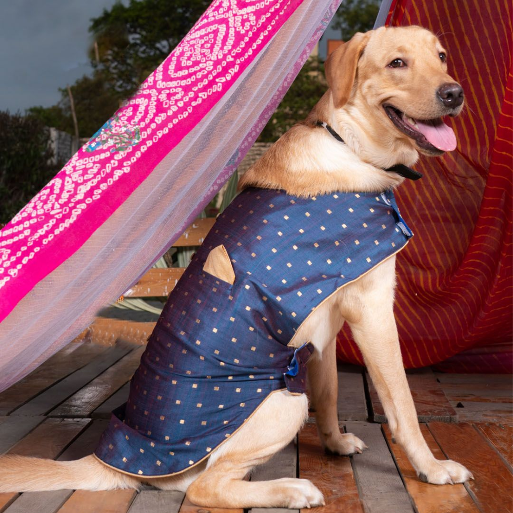 Vastramay Silk Blend Ethnic Jacket for Dogs (Blue and Gold)