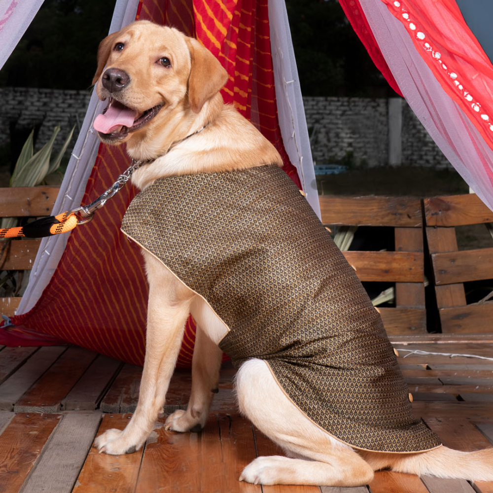 Vastramay Woven Silk Blend Ethnic Jacket for Dogs (Black)