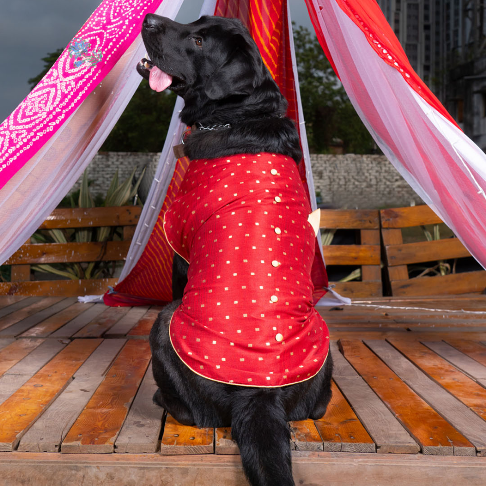 Vastramay Silk Blend Ethnic Jacket for Dogs (Maroon and Gold)