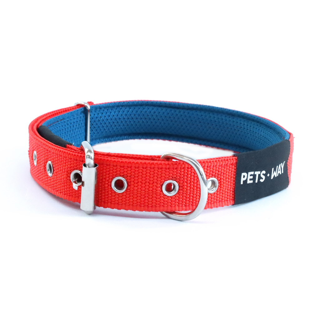Pets Way Padded Everyday Collar for Dogs (Jam)