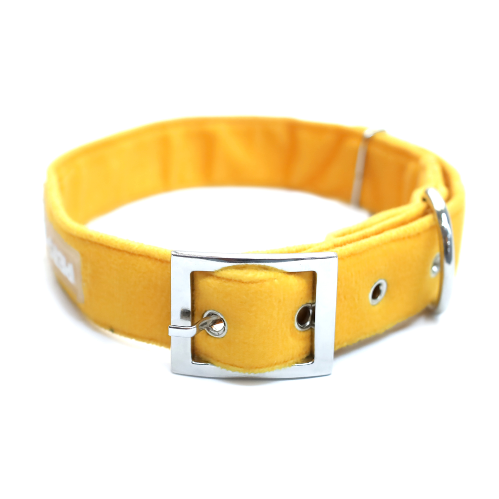 Pets Way Premium Luxurious Velvet Collar for Dogs (Free Bowtie) (Amber)