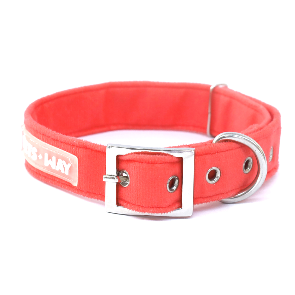 Pets Way Premium Luxurious Velvet Collar for Dogs (Coral) (Free Bowtie)