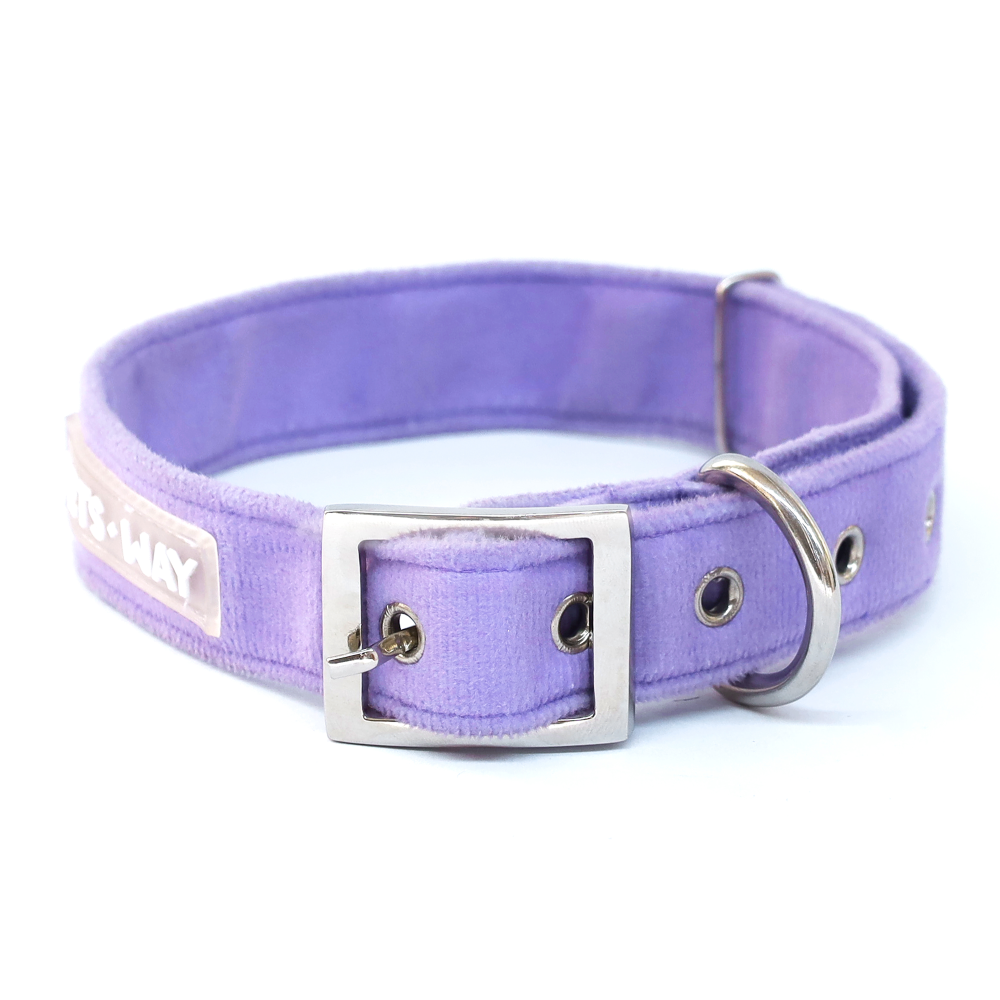 Pets Way Premium Luxurious Velvet Collar for Dogs (Free Bowtie) (Lavender)