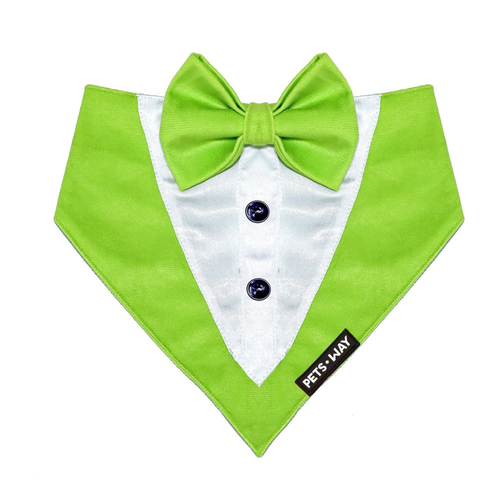 Pets Way Luxurious Velvet Tuxedo for Dogs (Neon)