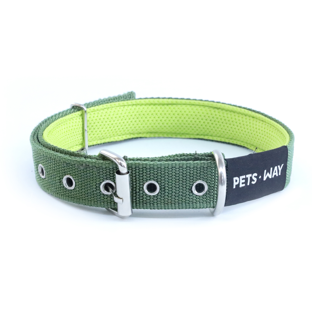Pets Way Padded Everyday Collar for Dogs (Olive)