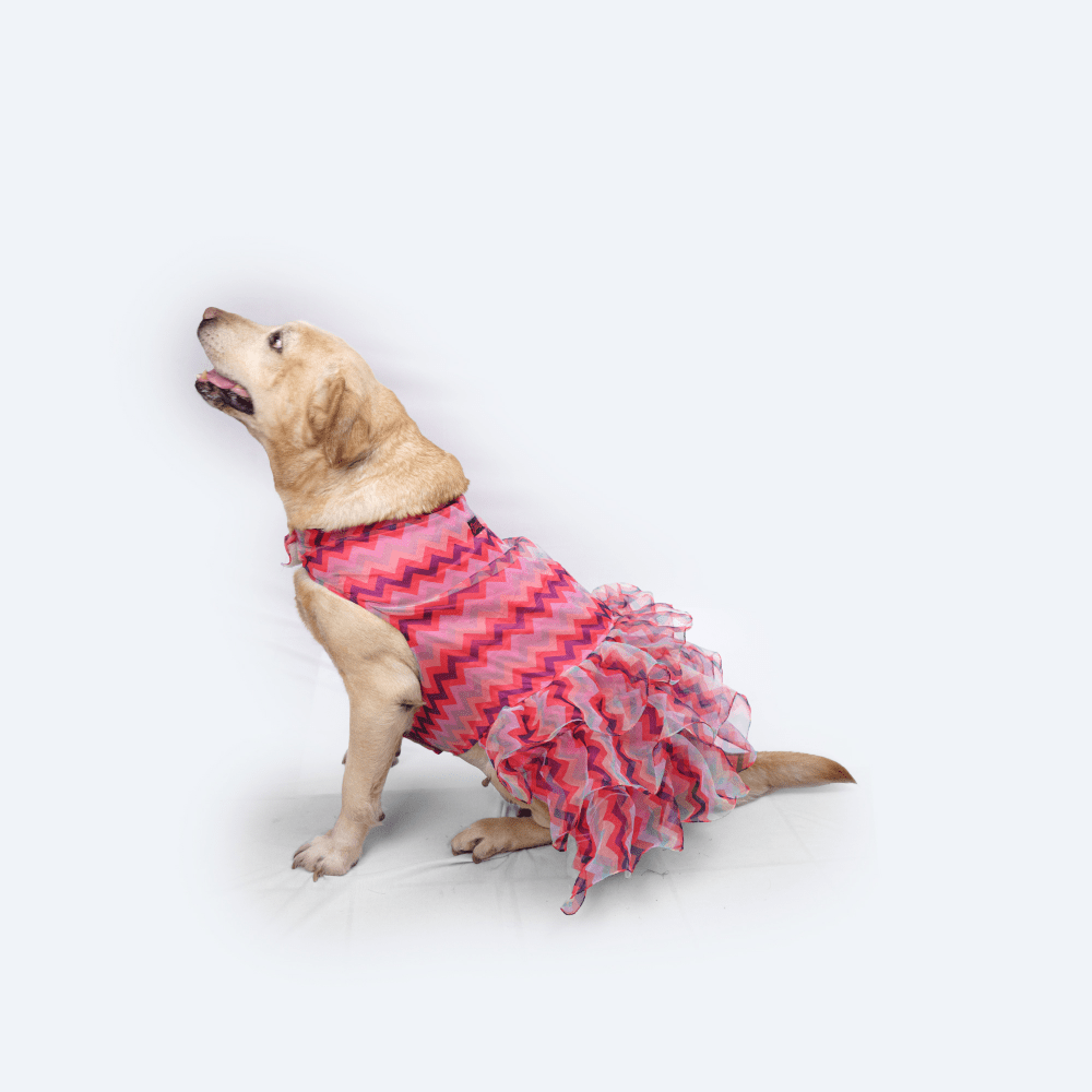 Pawgypets Frill Dress for Dogs and Cats (Pink)