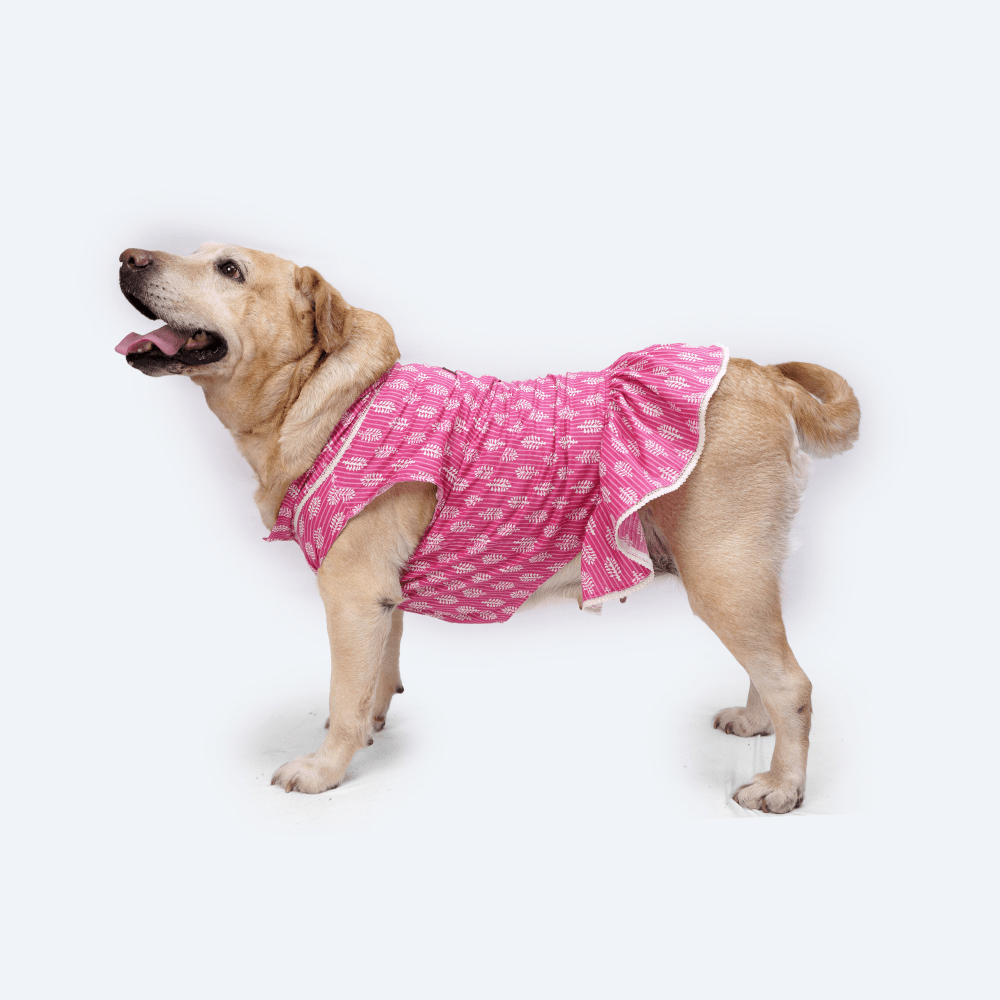 Pawgypets Heritage Handblock Dress for Dogs and Cats (Pink)