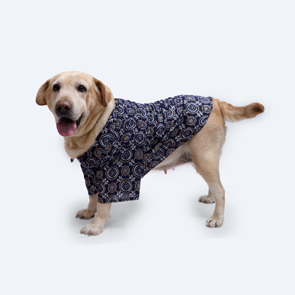 Pawgypets Bandhej Shirt for Dogs and Cats (Blue)