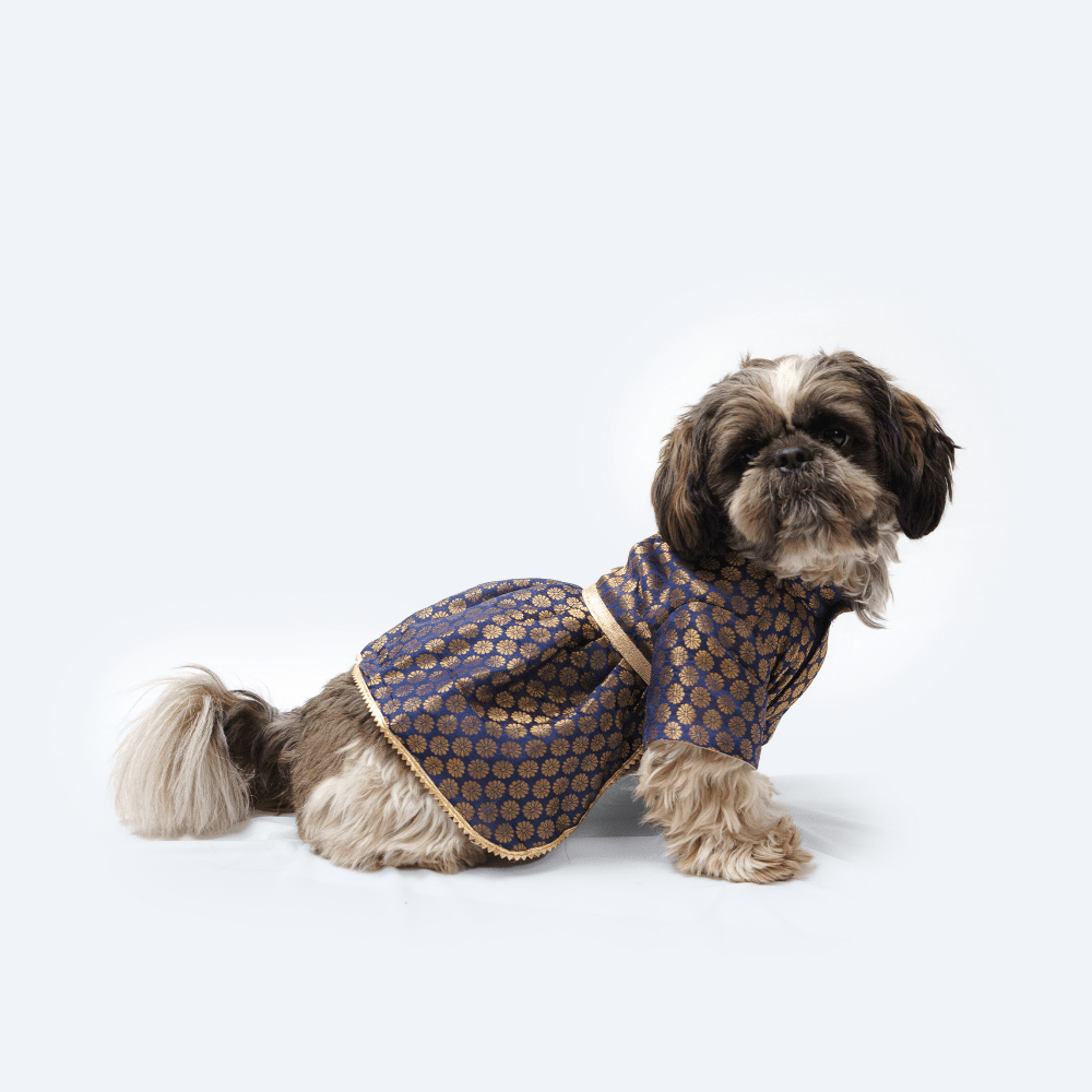 Pawgypets Occasion Wear Dress for Dogs and Cats (Navy Blue)