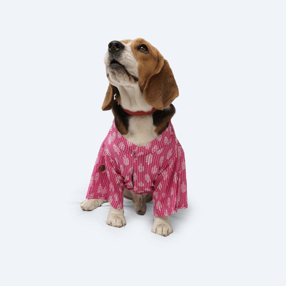 Pawgypets Heritage Handblock Kurta for Dogs and Cats (Pink)
