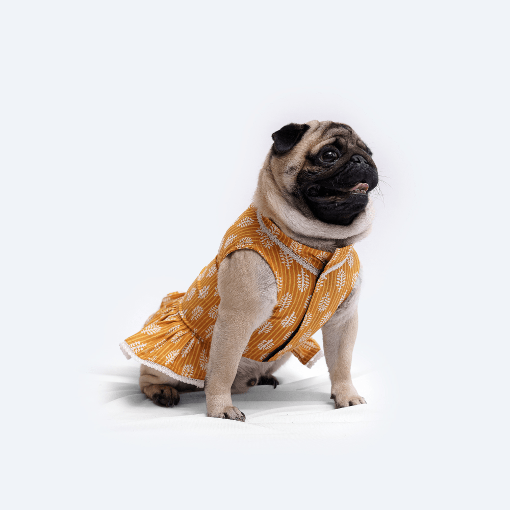 Pawgypets Heritage Handblock Dress for Dogs and Cats (Mustard)
