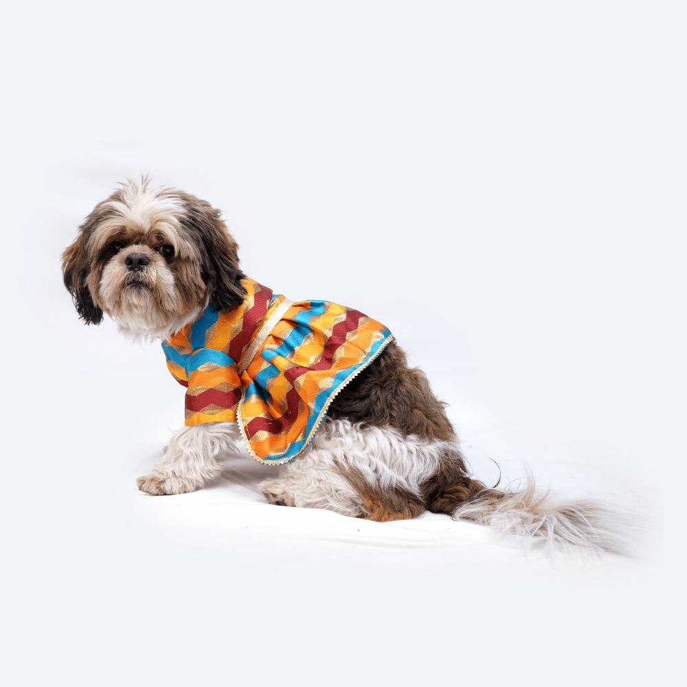Pawgypets Occasion Wear Dress for Dogs and Cats (Multi Stripe)