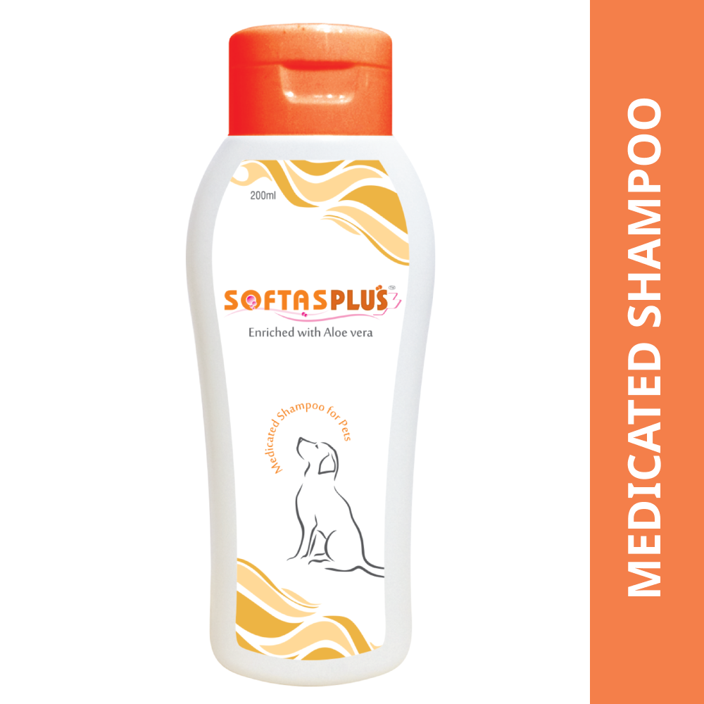 Intas Softas Plus Tick & Flea Shampoo