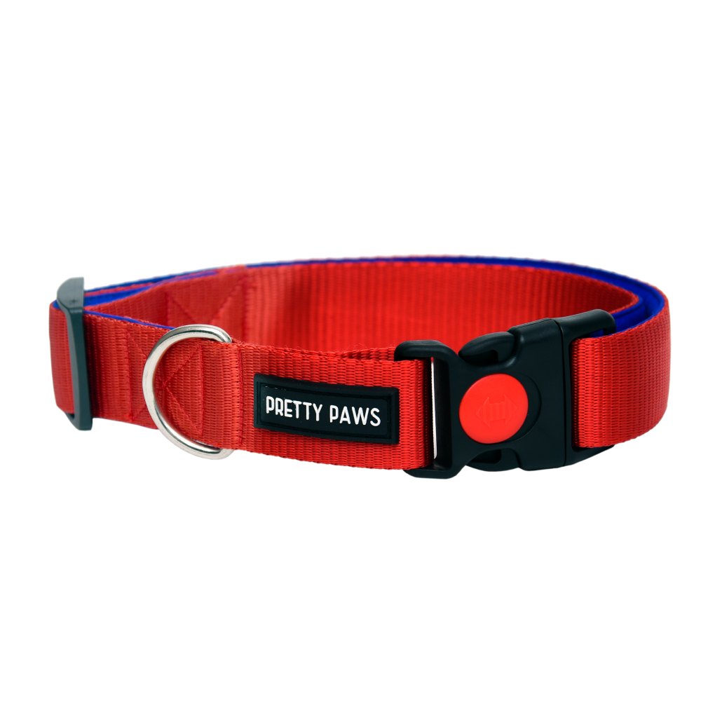 Pretty Paws Solid Collar for Dogs (Red)