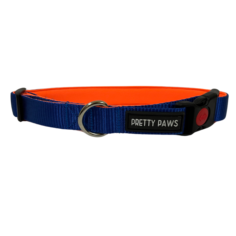 Pretty Paws Solid Collar for Dogs (Blue)