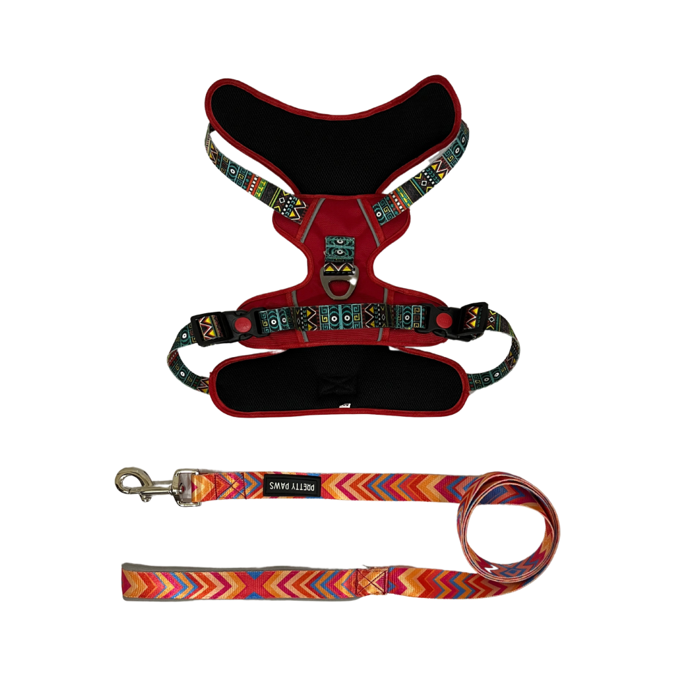 Pretty Paws Printed Full Body Harness & Leash for Dogs (Red)