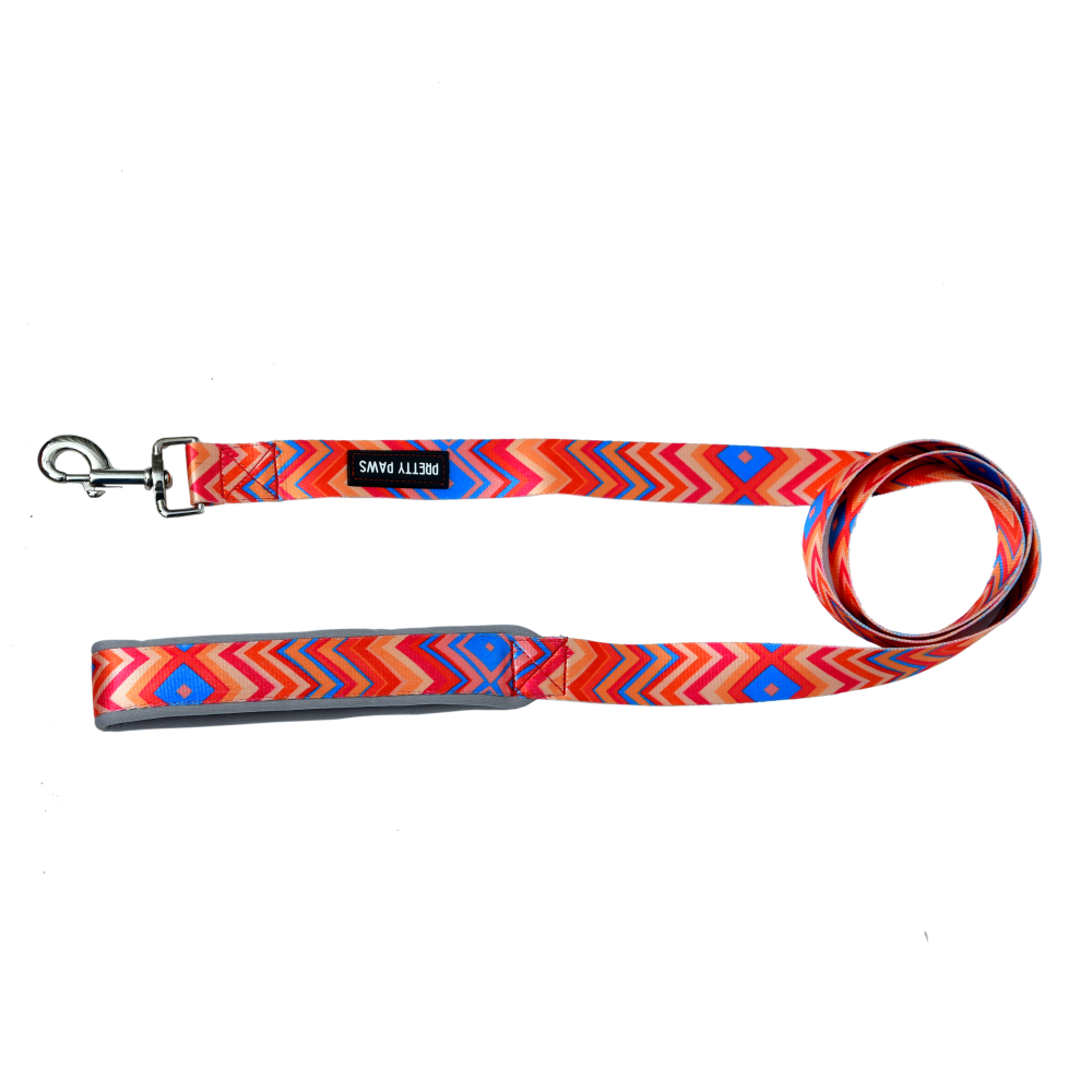 Pretty Paws Printed Leash for Dogs (Red)