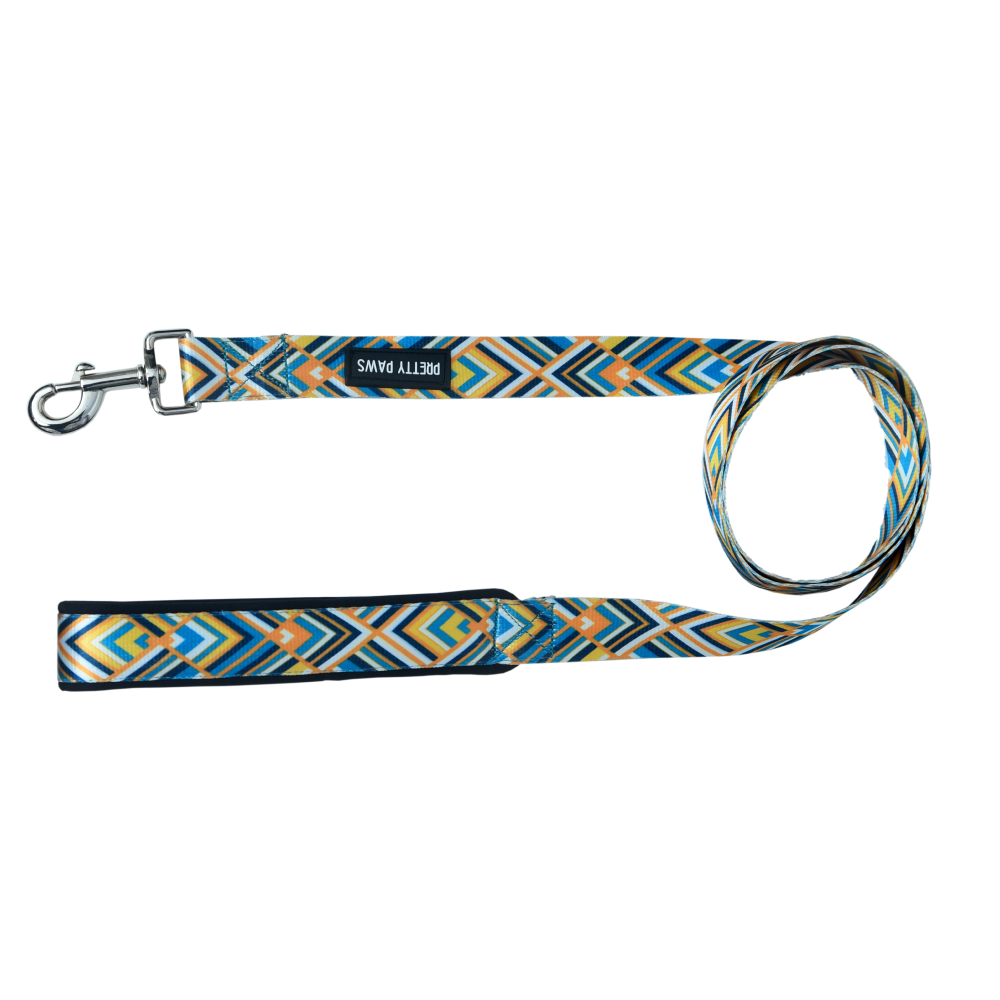 Pretty Paws Printed Leash for Dogs (Yellow)