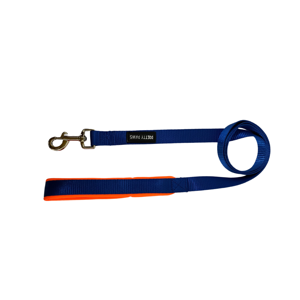 Pretty Paws Solid Leash for Dogs (Blue)