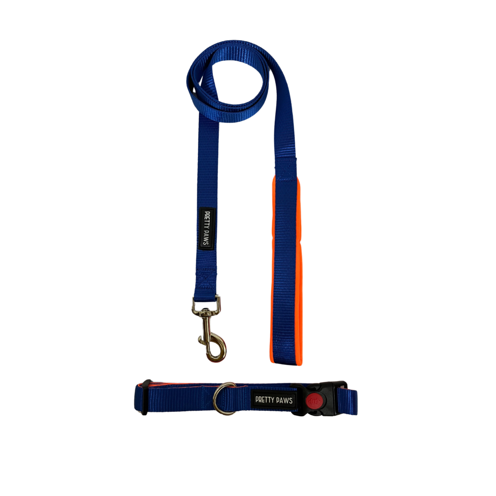 Pretty Paws Solid Collar & Leash for Dogs (Blue)