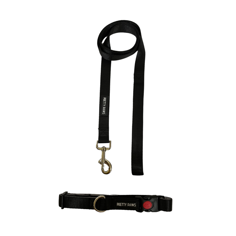 Pretty Paws Solid Collar & Leash for Dogs (Black)