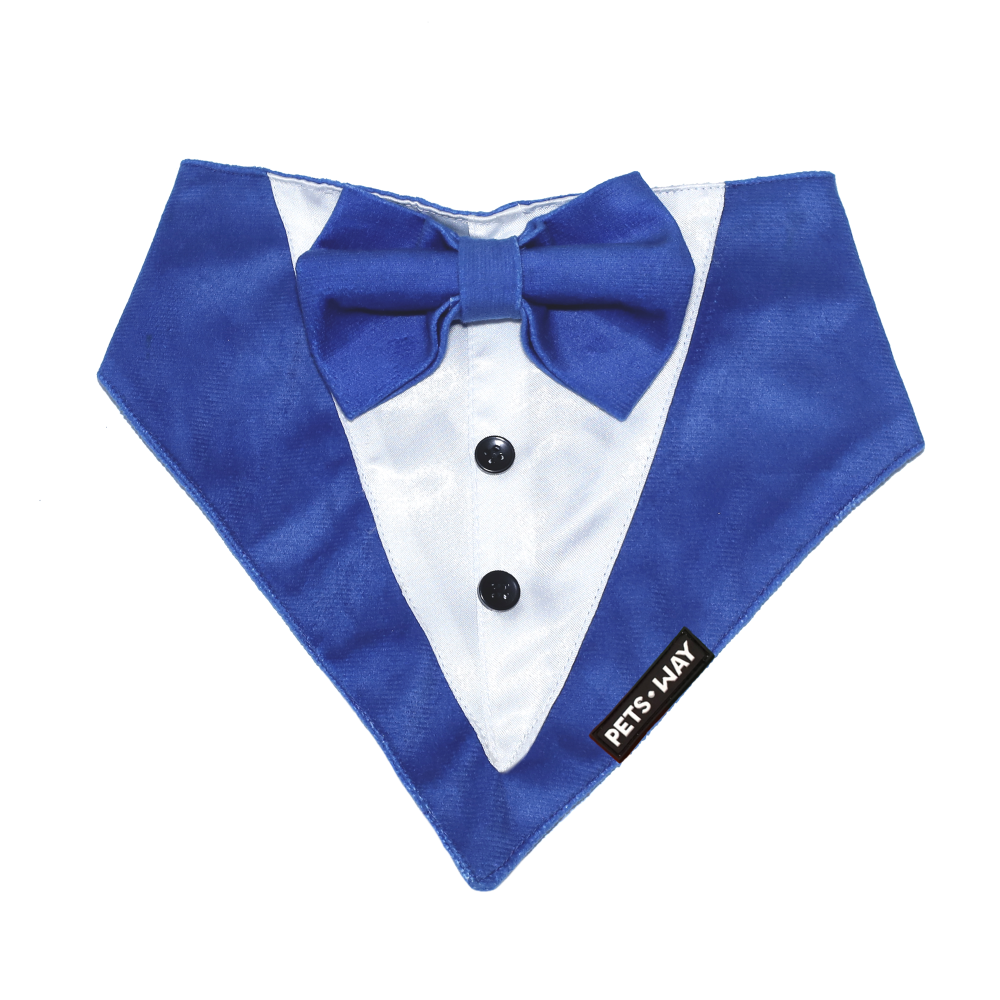 Pets Way Luxurious Velvet Tuxedo for Dogs (Royal Blue)