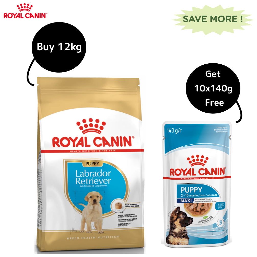 Royal Canin Labrador Retriever Puppy Dog Dry Food (Get Maxi Puppy Wet Food Free)